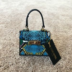 Mini Multi colored Snakeskin purse